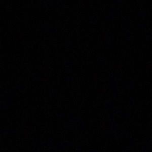 Meet your Posher, Jackson